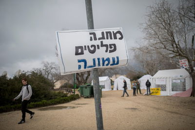 מגרשים ושוכחים. עמונה