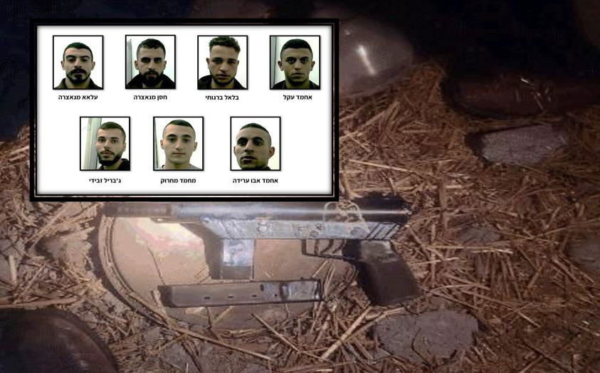 המחבלים שנעצרו