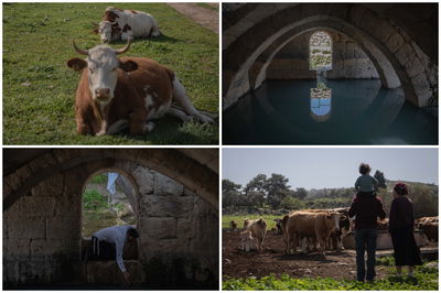 מעיין בית הקשתות | צפו בגלריה של חיים גולדברג