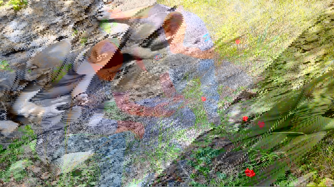 תיכף שנה להיעלמות: יום חיפושים אחר קליינרמן ועוד שני 'נעדרי מירון'