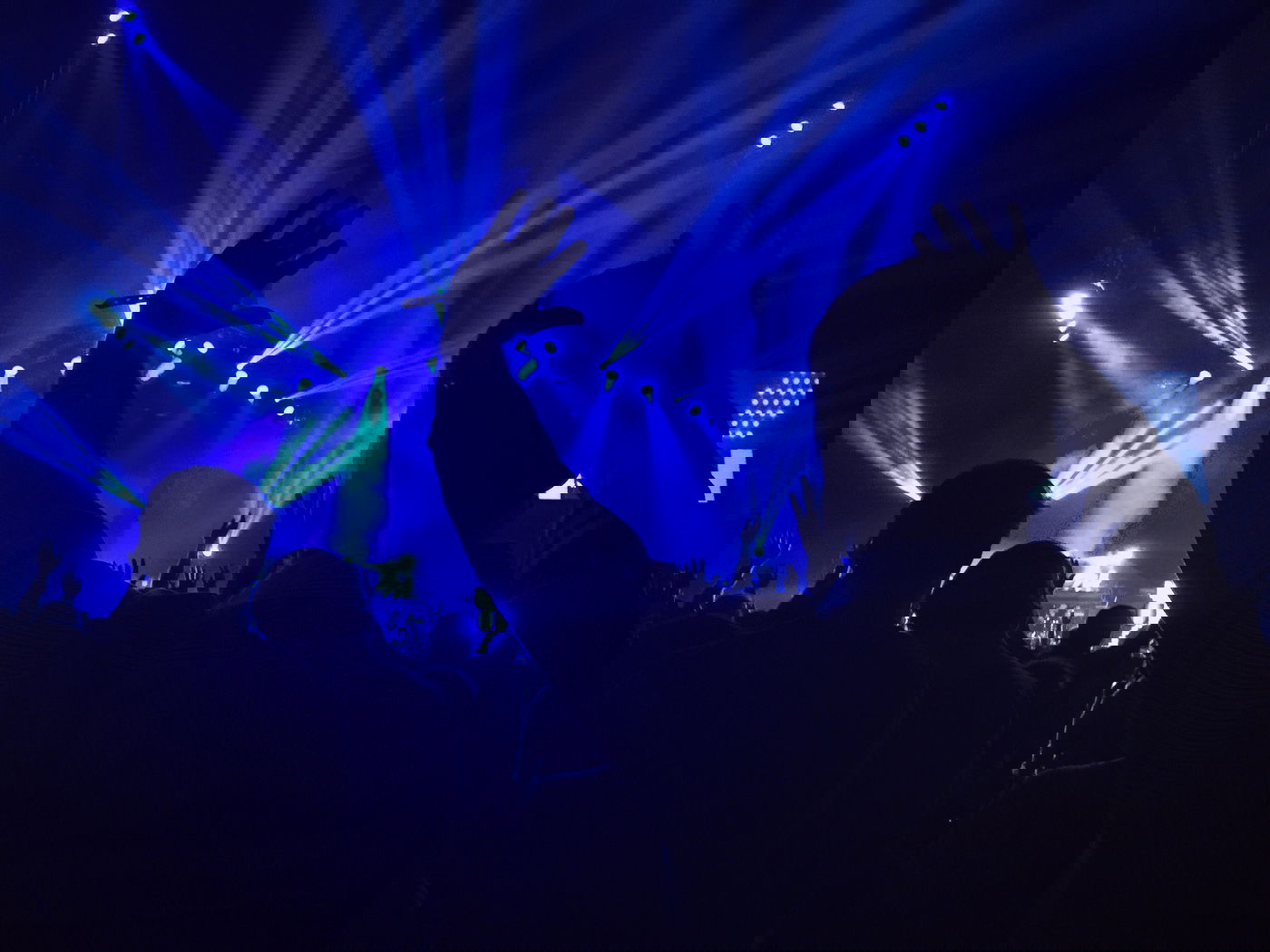 השמלה הקצרה והכרטיסים להופעה - חשפו את ציפי | סיפור מטלטל