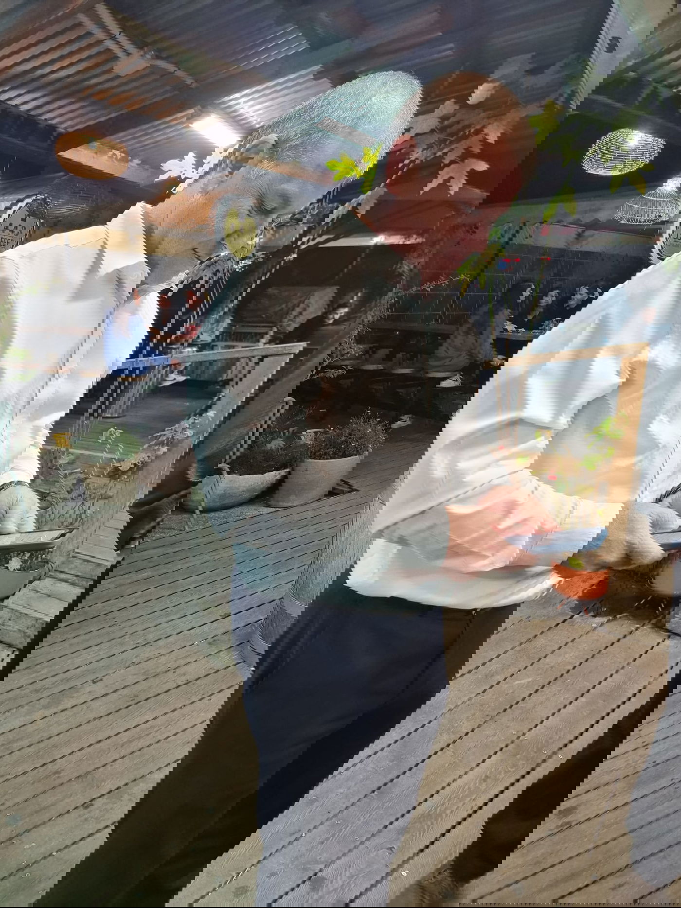 זופניק בכיכר • כל התמונות והנייעס של השבוע