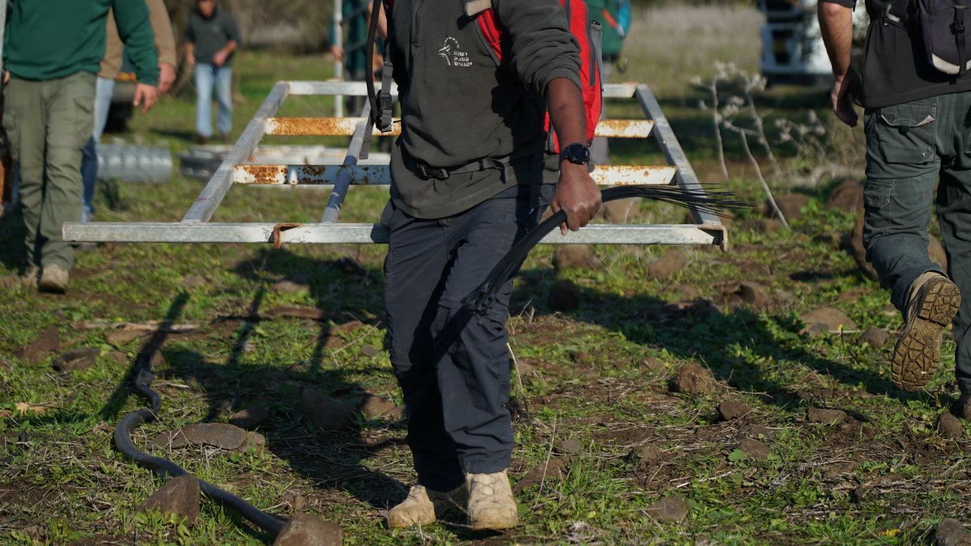 הלוחמים החרימו 83 פרות בשווי של מאות אלפי ש"ח | צפו