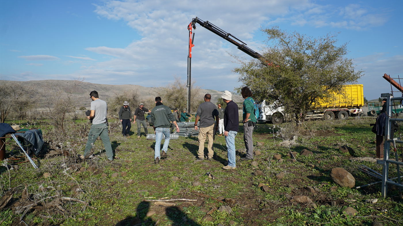 הלוחמים החרימו 83 פרות בשווי של מאות אלפי ש"ח | צפו