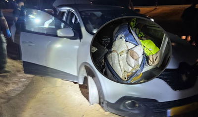 התפיסה המשטרתית