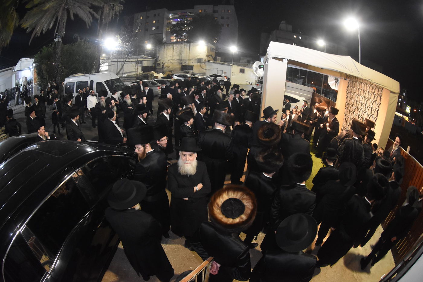 שמחת החתונה בחצר הקודש אשלג | צפו