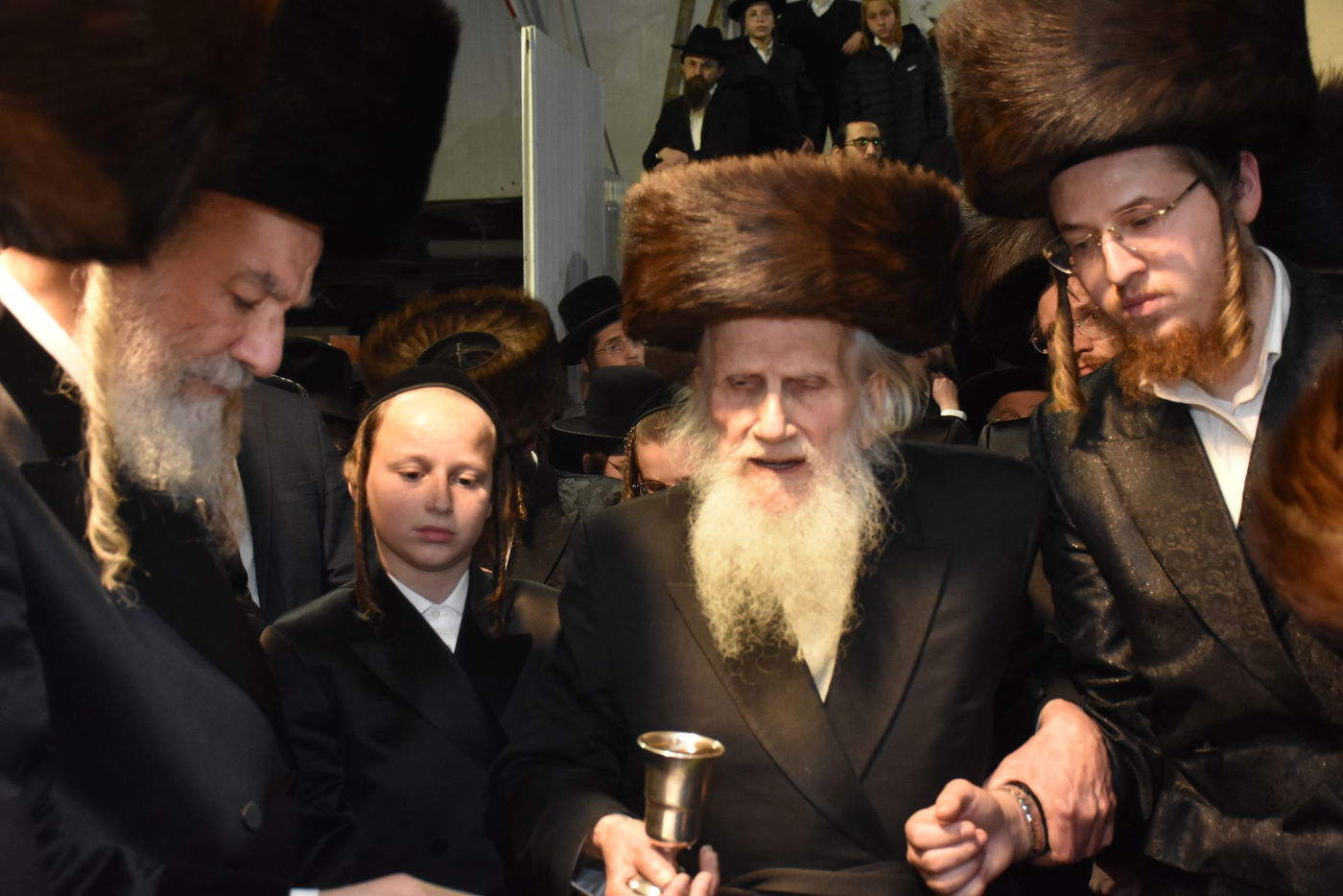 שמחת החתונה בחצר הקודש אשלג | צפו