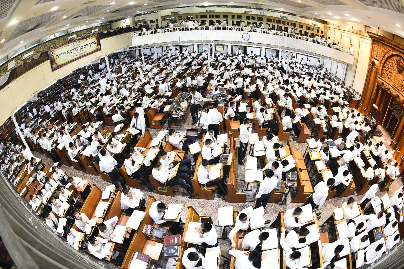 לימוד בלילה וביום, שירי רגש וריקודים: כך חגגו פורים בפוניבז'