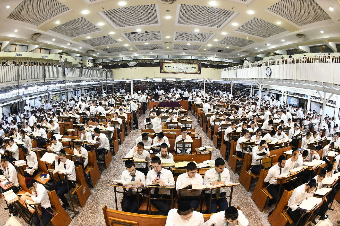 לימוד בלילה וביום, שירי רגש וריקודים: כך חגגו פורים בפוניבז'