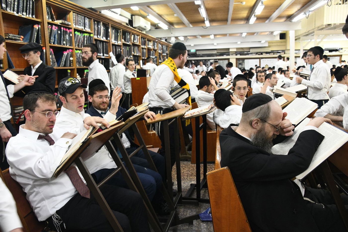 לימוד בלילה וביום, שירי רגש וריקודים: כך חגגו פורים בפוניבז'