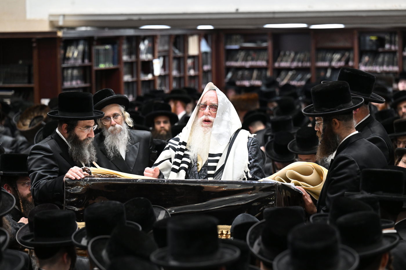 'גילופין טיש' ו'פורים שפיל' | חג הפורים בחסידות צאנז • צפו