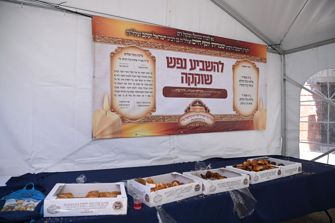 שנה ללא שר התורה זצ"ל: אלפים עלו לציונו | תיעוד