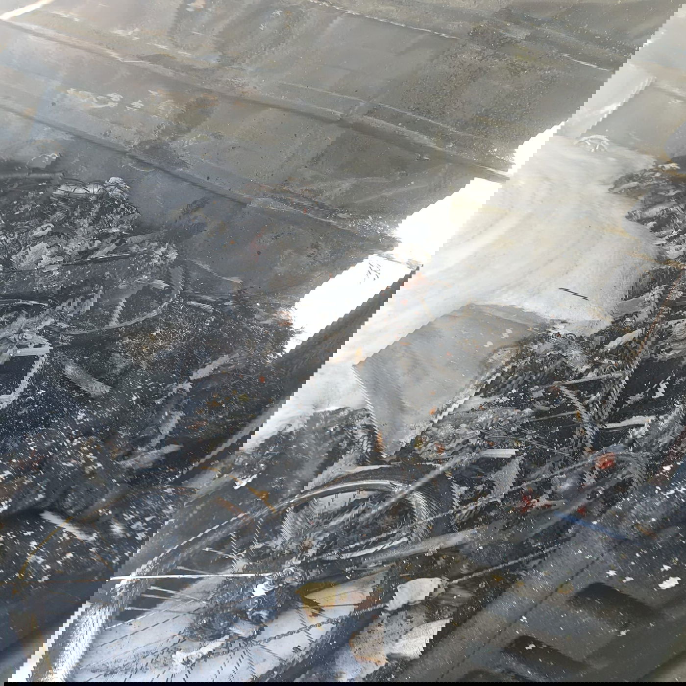 הסתיים בנס: הילד חילץ את ארבעת אחיו מהלהבות