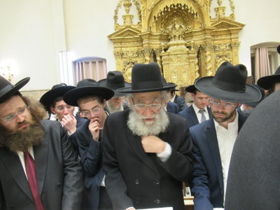 הגר"ש מרקוביץ'