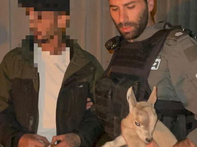 החשוד נתפס עם ה'עופר'