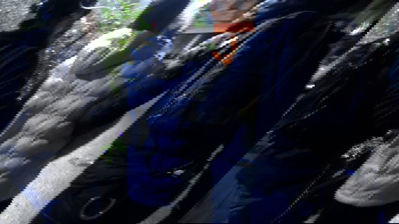 הסוכן הסמוי הצליח להפליל מספר ערבים בסחר באמל"ח