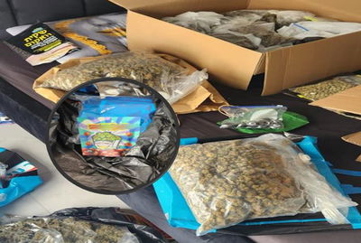 הסמים בדירה ביבנה