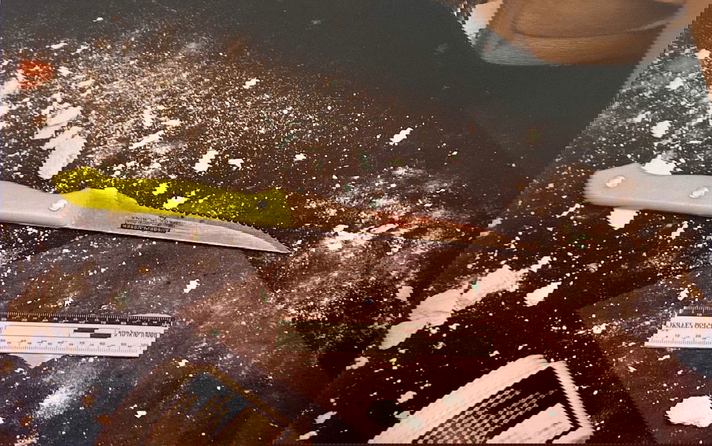 הסכין באמצעותה דקר החשוד את השוטר