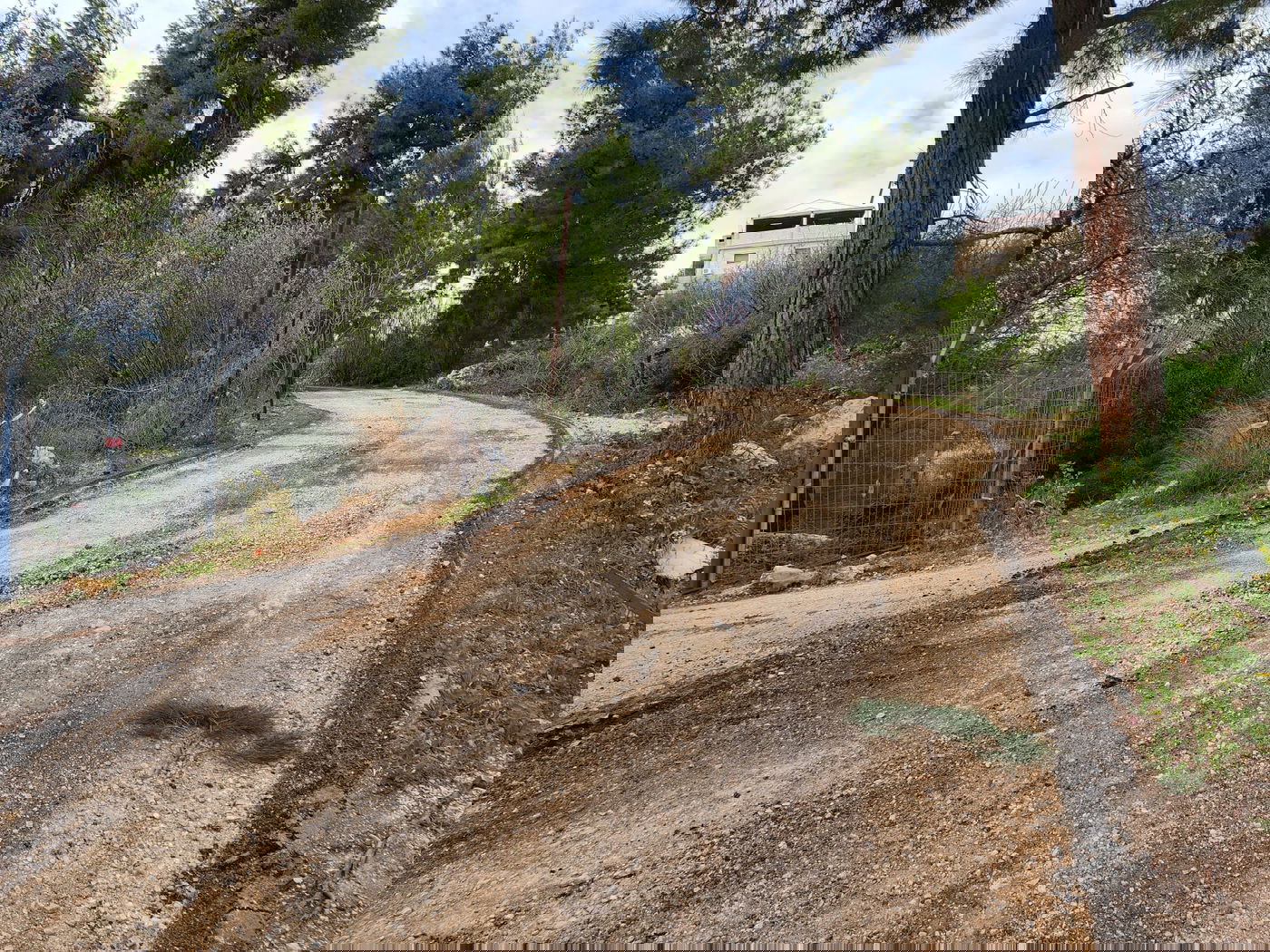 מירון תשפ"ג: עוד בשורה לעולים; ציר החירום החדש ישמש גם כ'דרך כהנים' - משודרגת