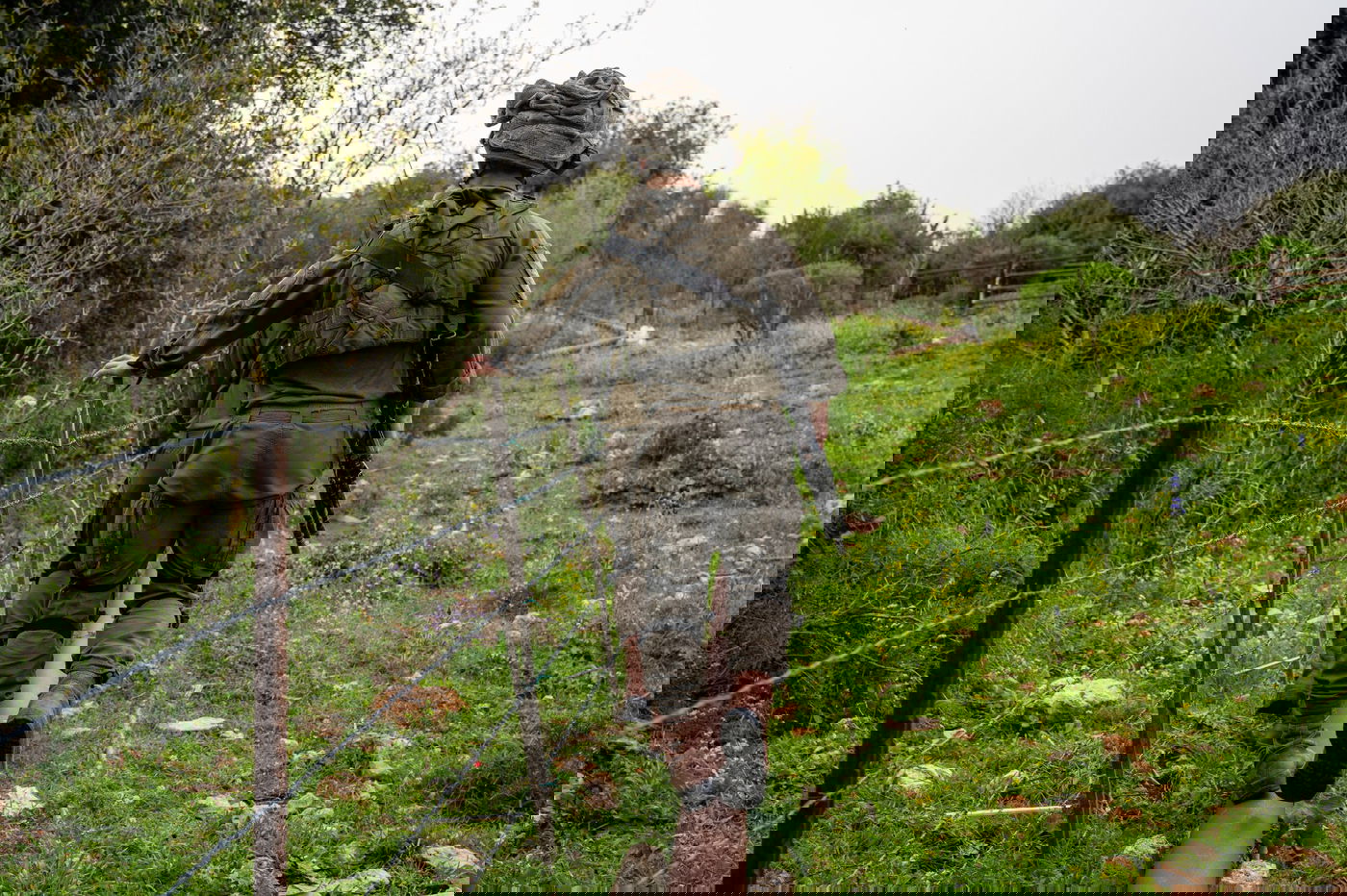 הפעילות בצפון, השבוע