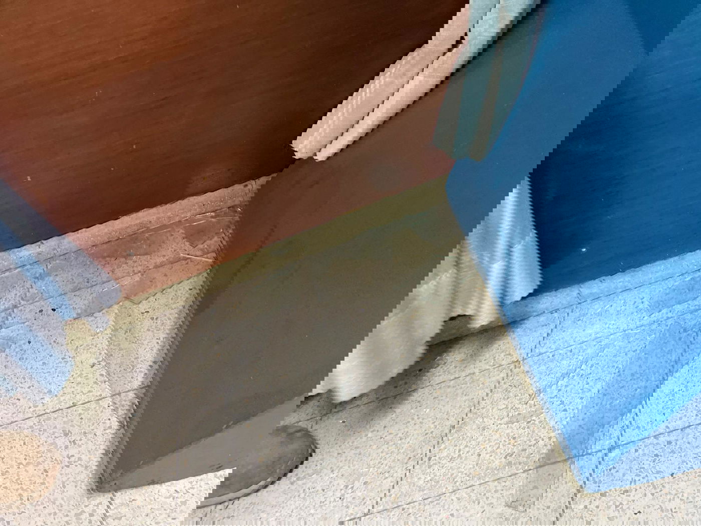 אבן הושלכה לעבר האולם: השר ברקת חולץ מכנס בכפר סבא