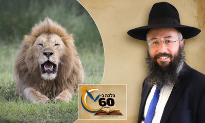 האם אוכל לבעלי חיים חייב כשרות לפסח? • צפו