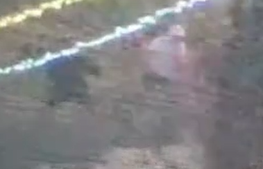 טרור האבנים: יידו אבנים על אוטובוסים ונתפסו על חם | צפו