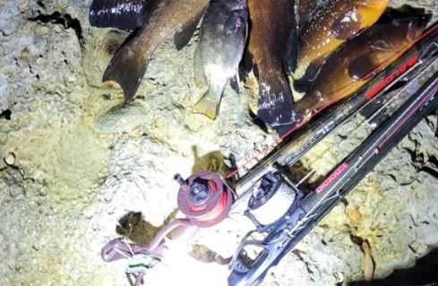 ליד ראש הנקרה: חשודים נתפסו בדיג של ערכי טבע מוגנים