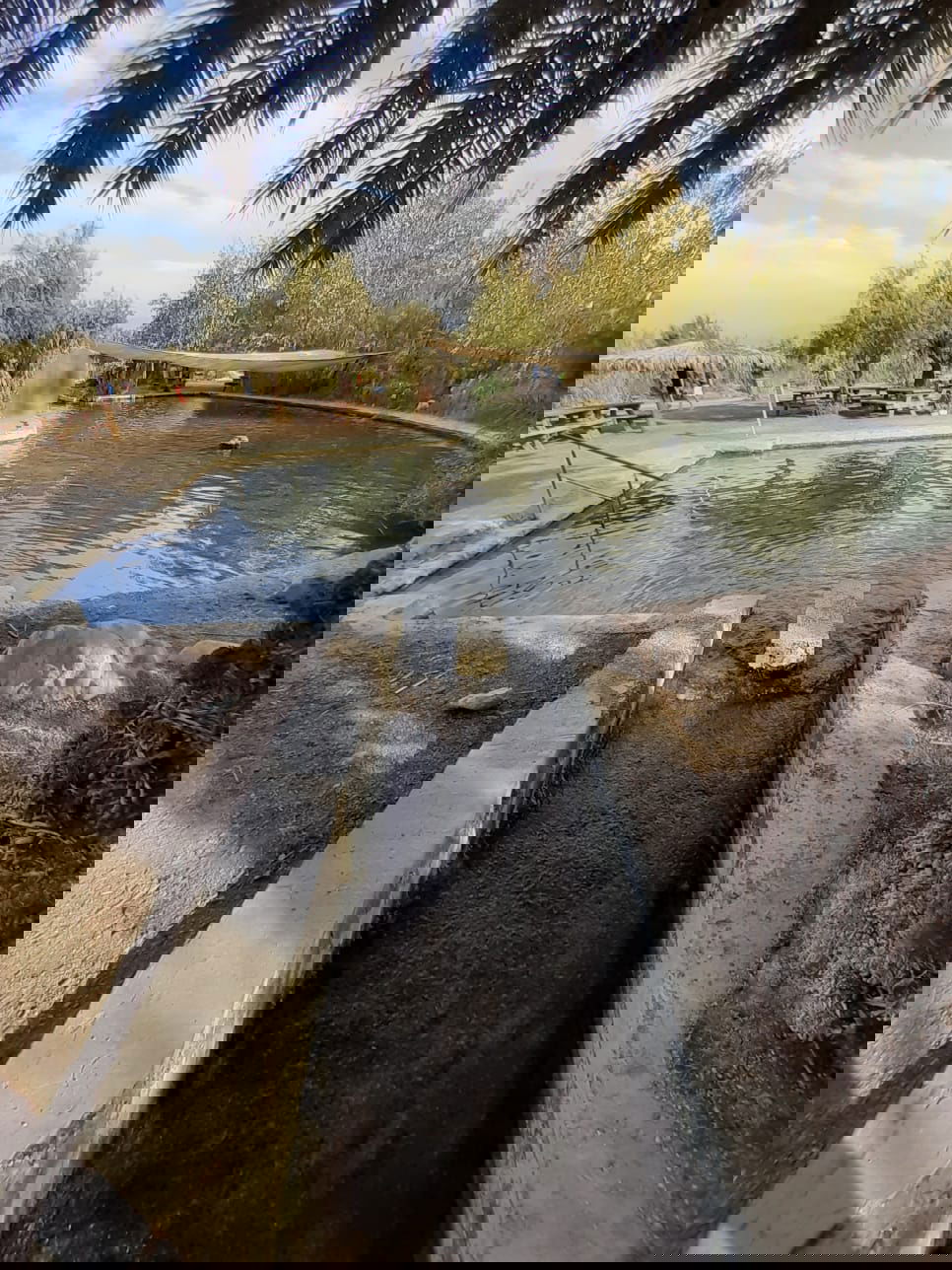 שְׁמּוּרַת עֵינוֹת צוּקִים - עין פשח'ה