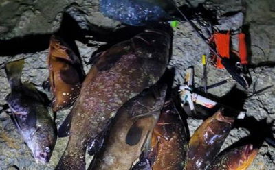 השלל שנתפס אצל החשודים