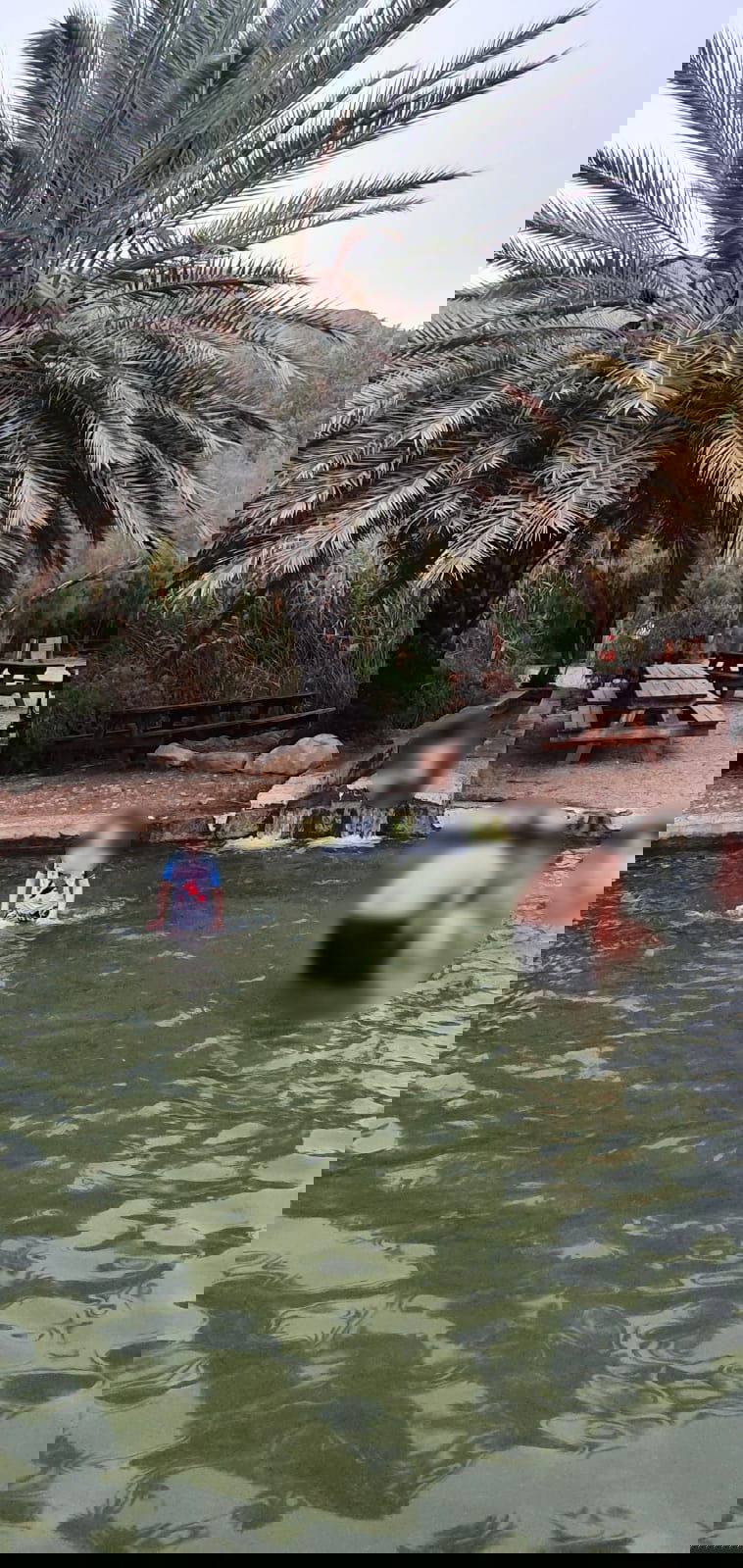 שְׁמּוּרַת עֵינוֹת צוּקִים - עין פשח'ה