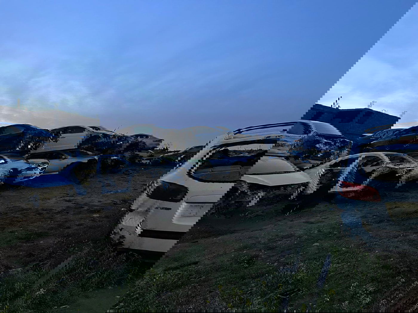 הפשיטה הבוקר