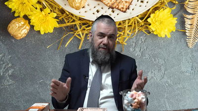 הרב אבנר קוואס עם הדמיה לליל הסדר | בפרק הראשון: קַדֵּשׁ • צפו