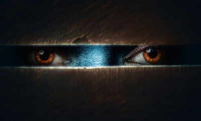 פרשת כי תצא