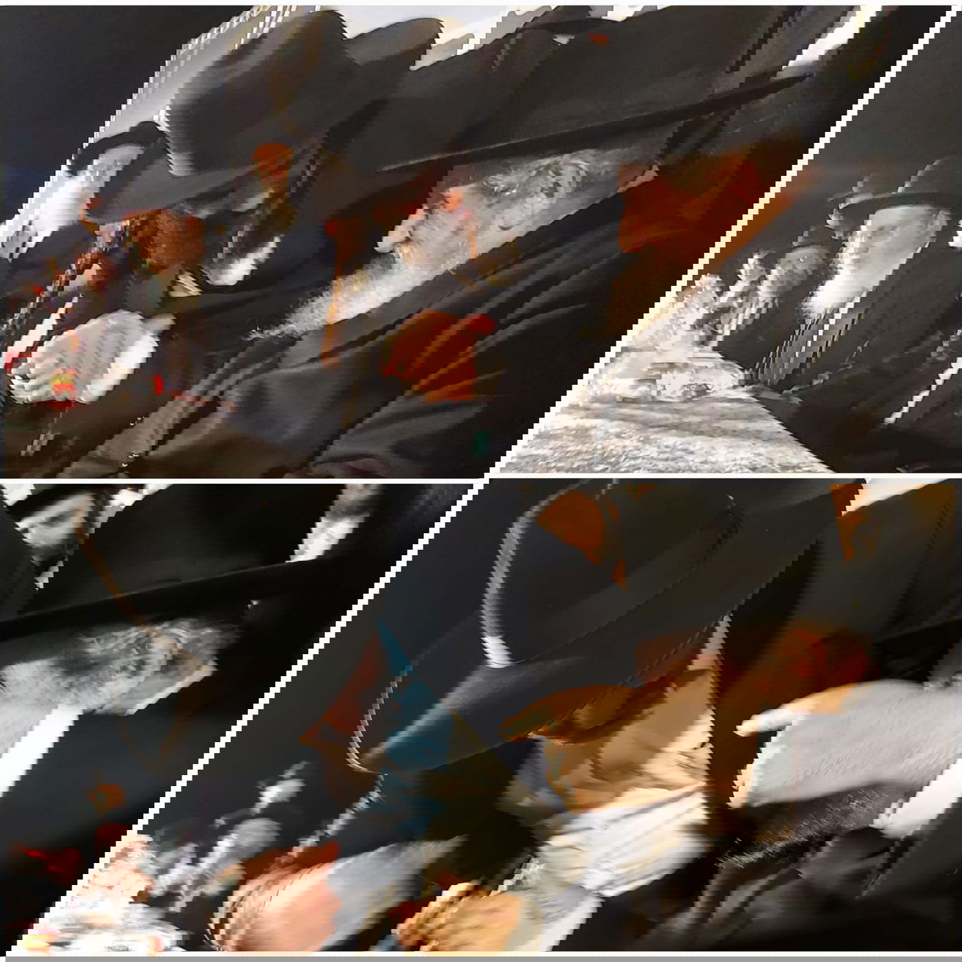 זופניק בכיכר • כל התמונות והנייעס של השבוע