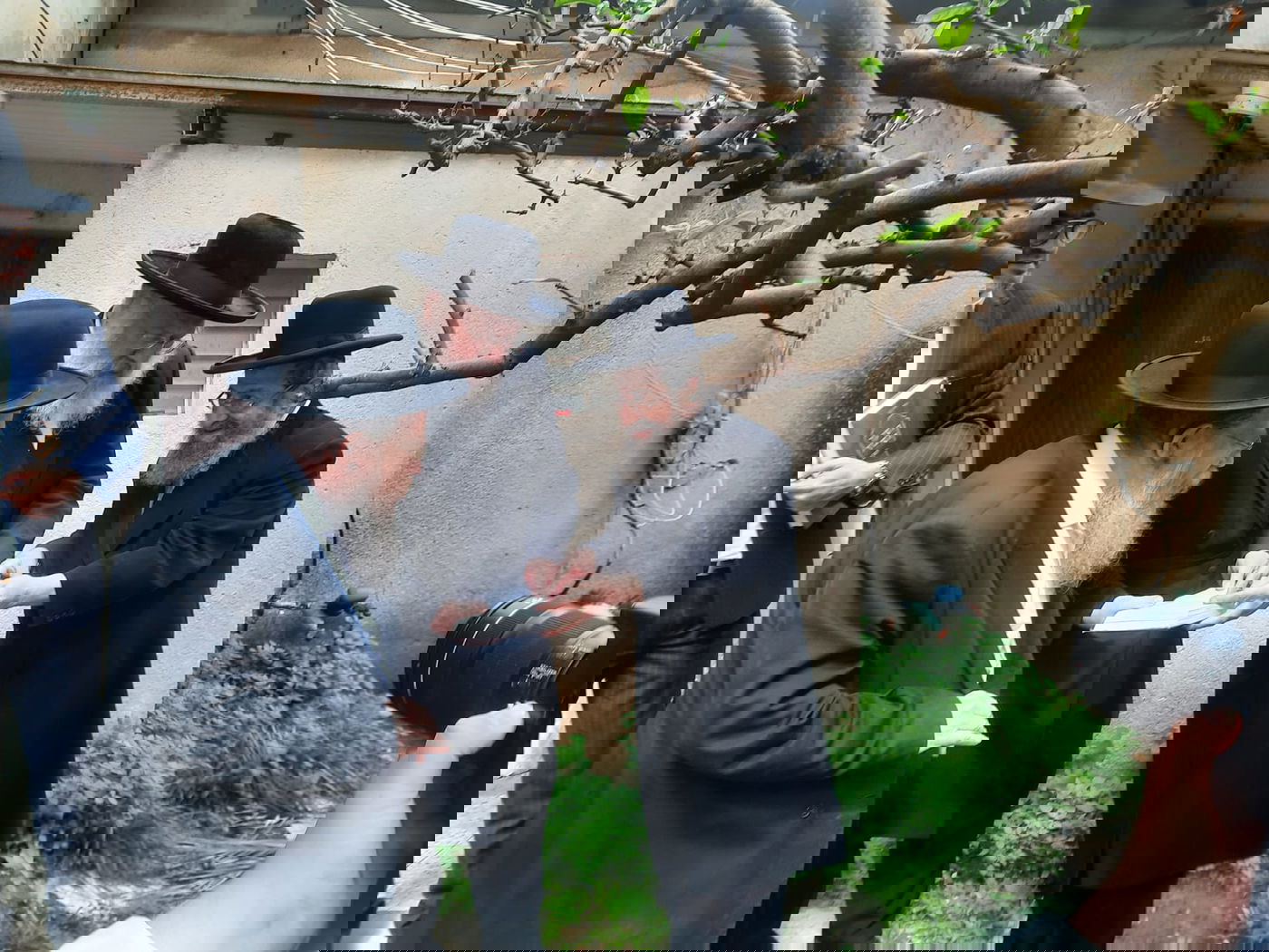 שלושת רבני בני ברק בירכו יחד ברכת האילנות | תיעוד