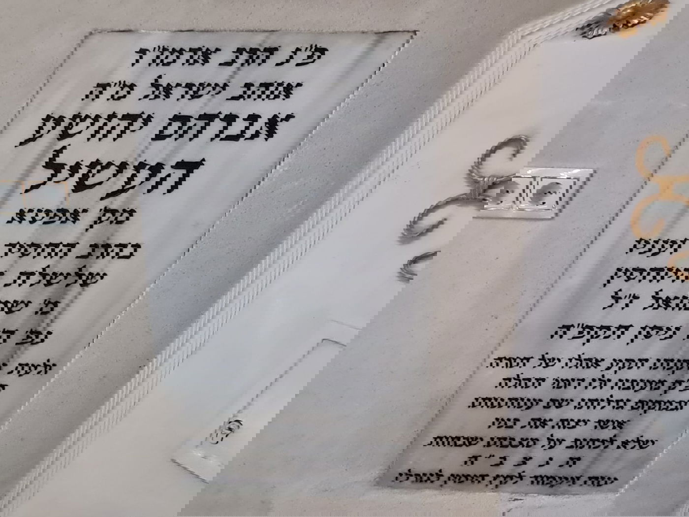 ציונו של האוהב ישראל