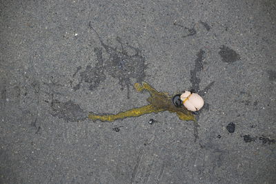 שני אחים יידו ביצים על מפגיני המחאה ונעצרו