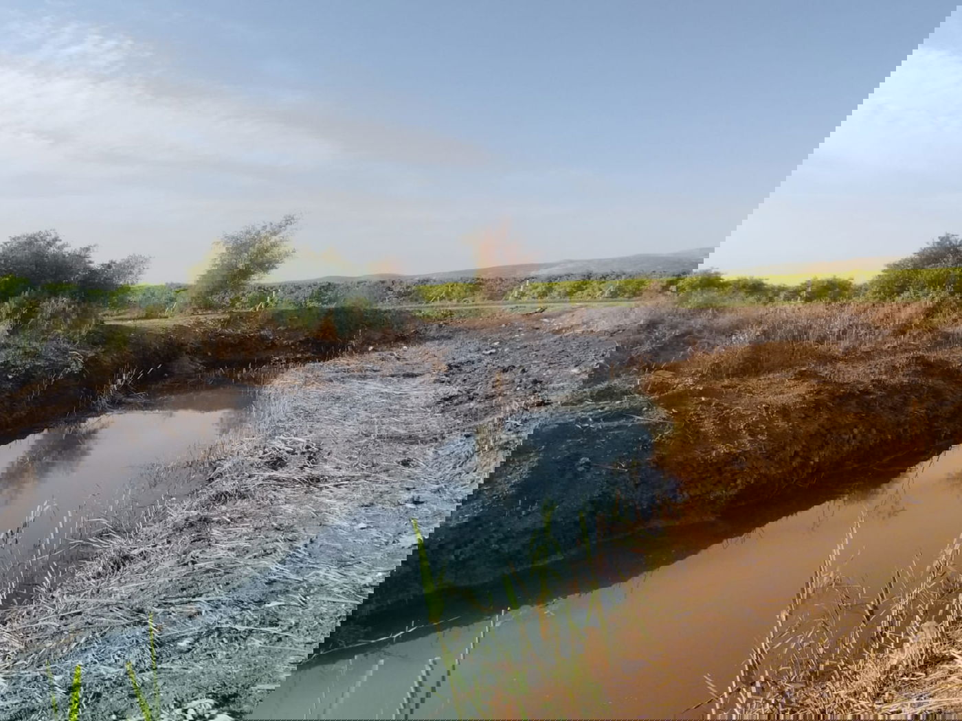 נדיר: חמישה מעיינות נסתרים נחשפים לציבור בבקעת הירדן