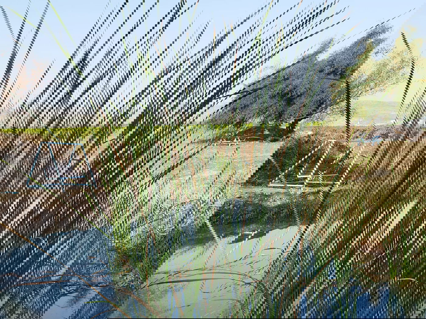 נדיר: חמישה מעיינות נסתרים נחשפים לציבור בבקעת הירדן