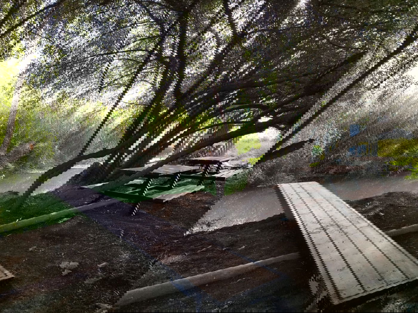 נדיר: חמישה מעיינות נסתרים נחשפים לציבור בבקעת הירדן