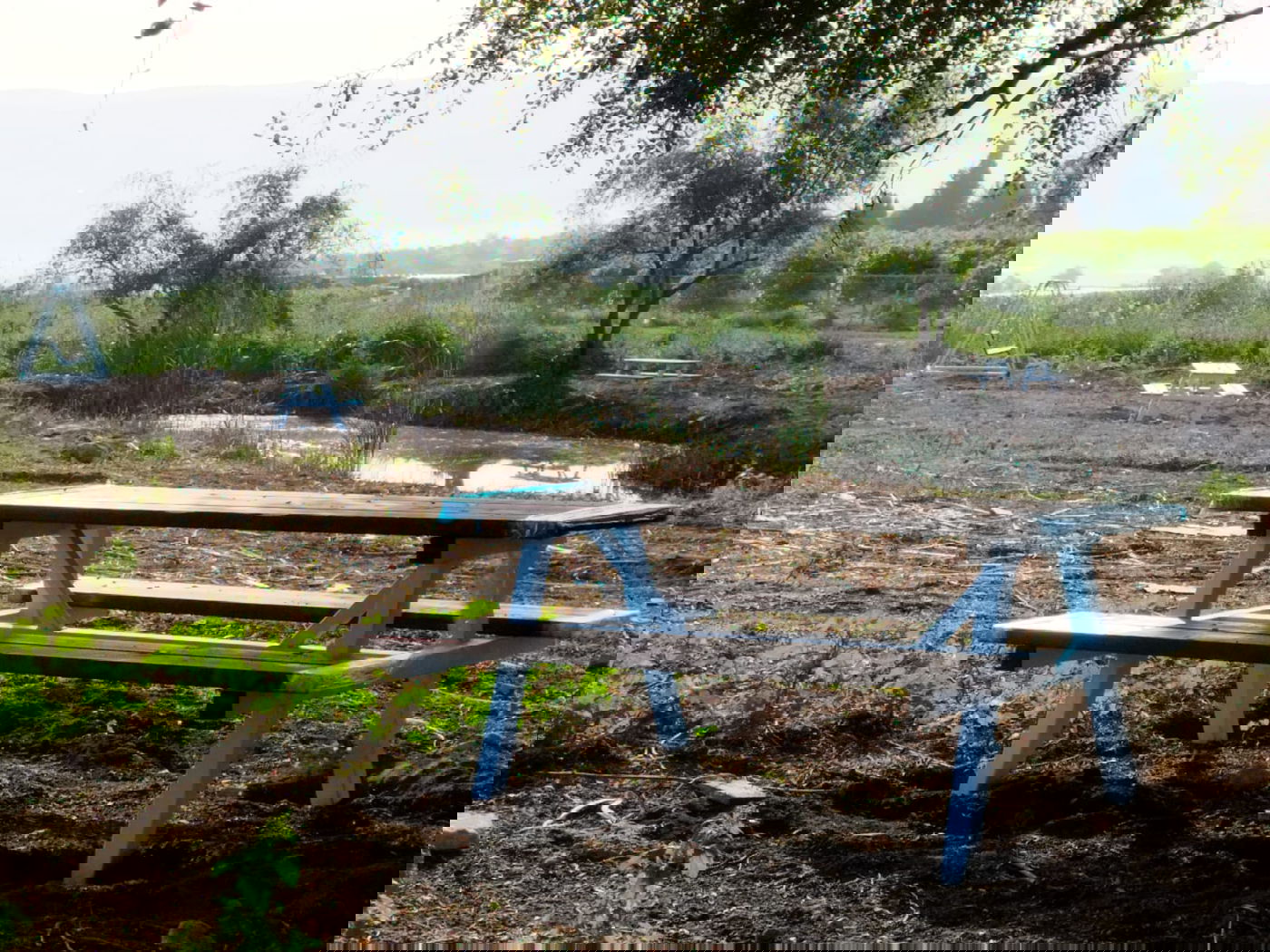 נדיר: חמישה מעיינות נסתרים נחשפים לציבור בבקעת הירדן