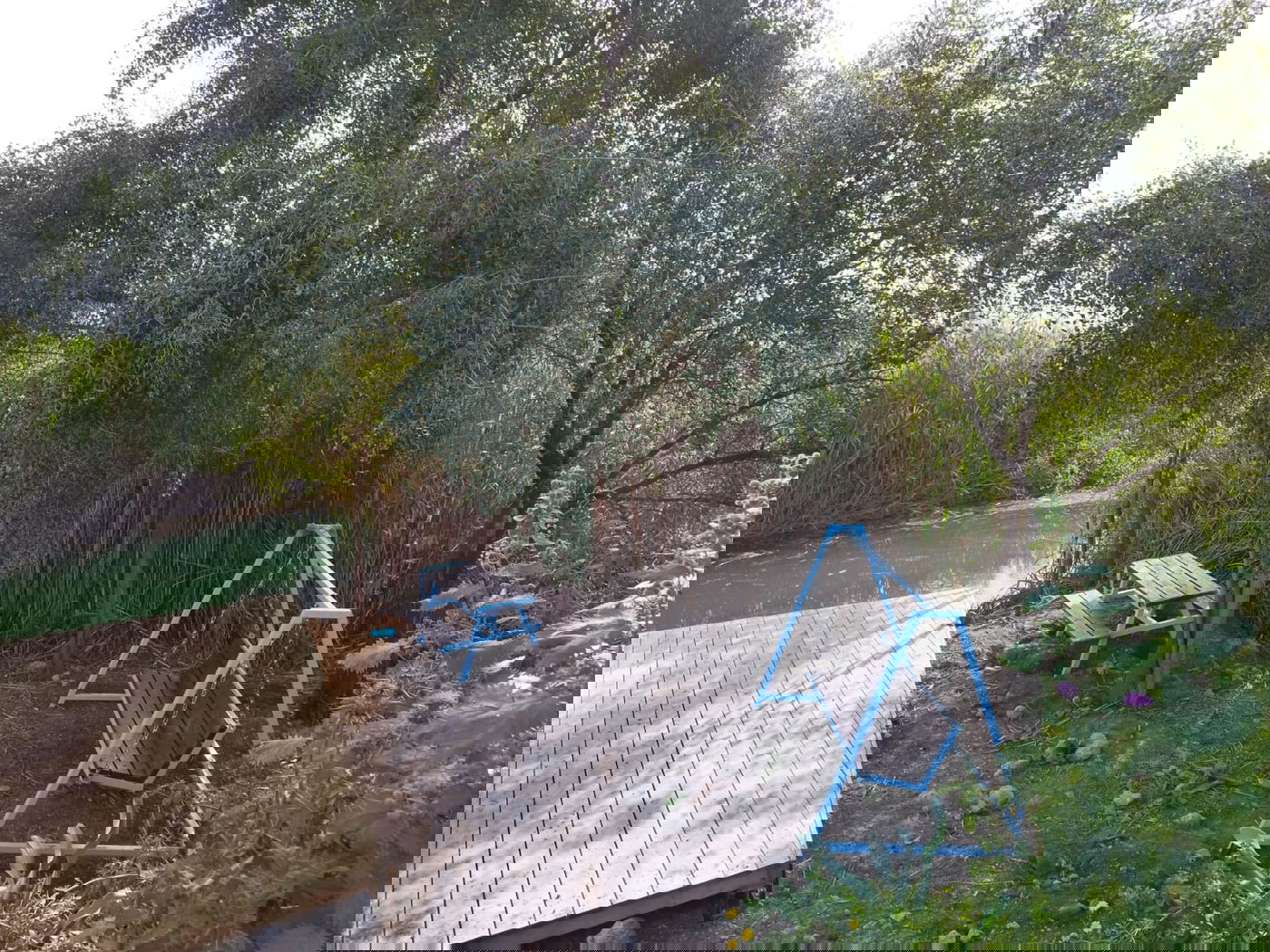 נדיר: חמישה מעיינות נסתרים נחשפים לציבור בבקעת הירדן