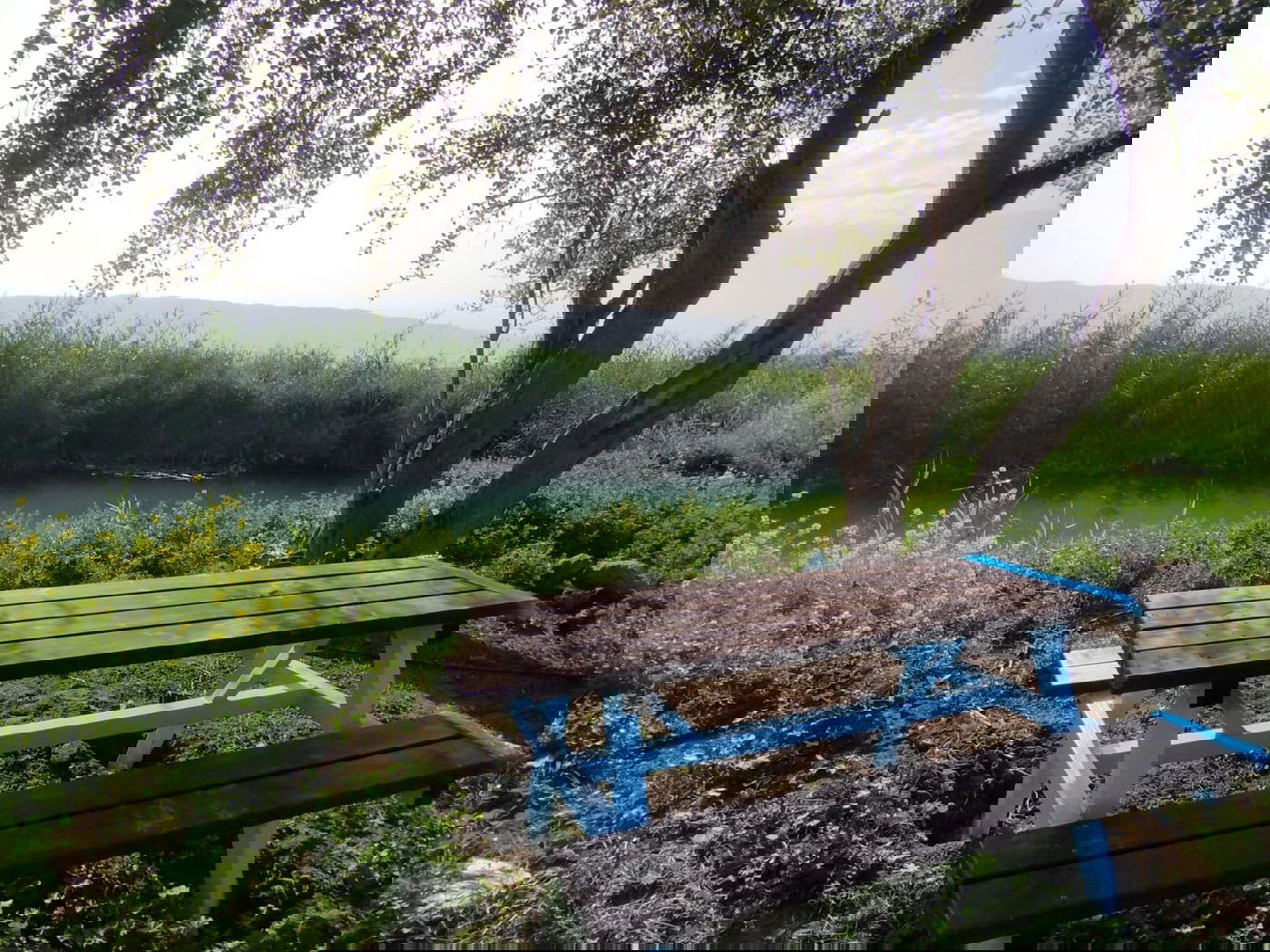 נדיר: חמישה מעיינות נסתרים נחשפים לציבור בבקעת הירדן