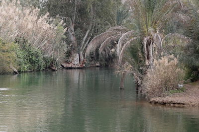 התחזית: מעונן חלקית; גשם מקומי בצפון וירידה בטמפרטורות