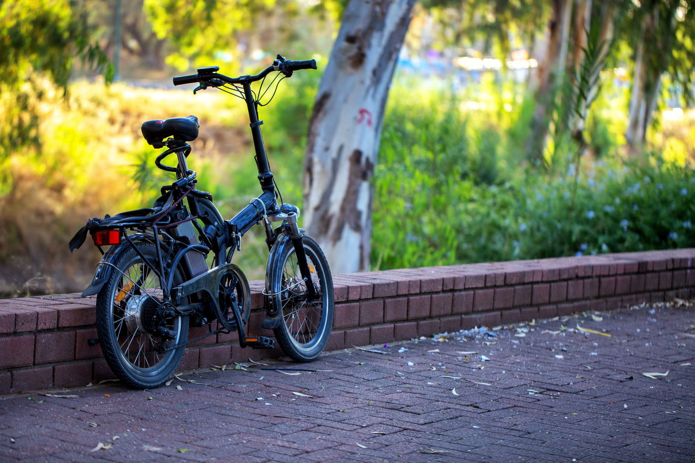 אופניים חשמליים