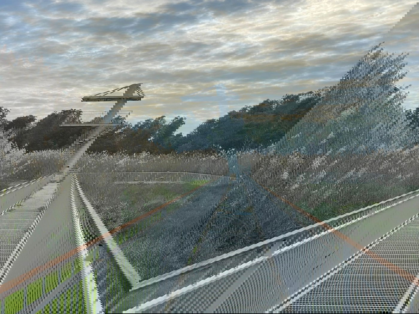 מלחמת אחים? הביקור ב'עֵינוֹת גִּיבְּתוֹן' שמעביר מסר חריף לראשי האומה