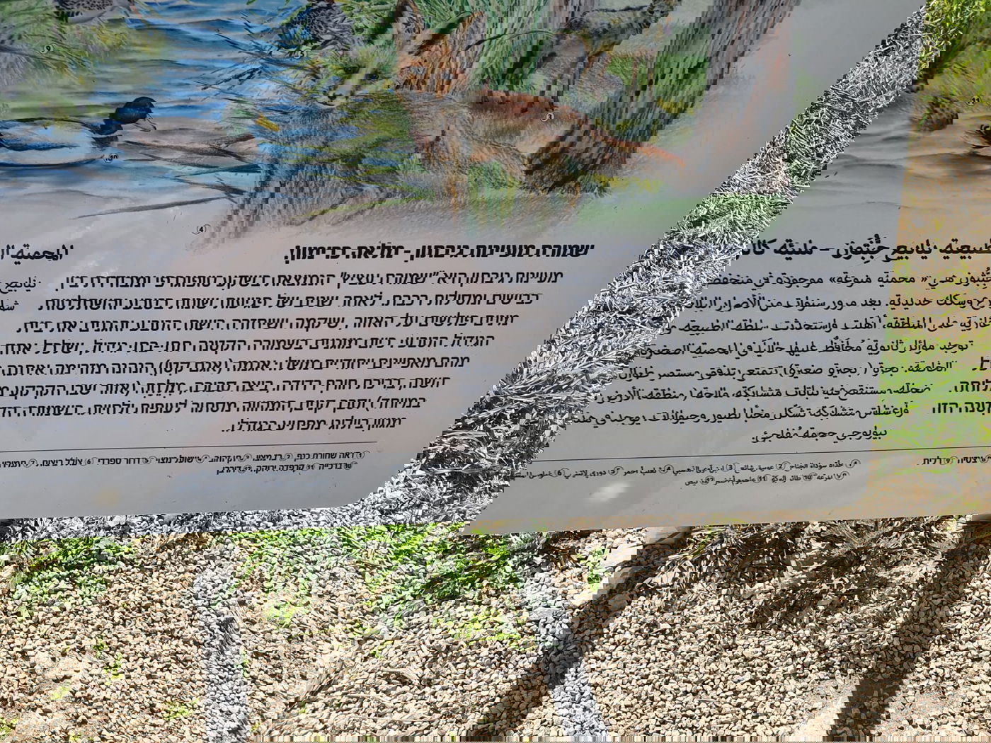 מלחמת אחים? הביקור ב'עֵינוֹת גִּיבְּתוֹן' שמעביר מסר חריף לראשי האומה