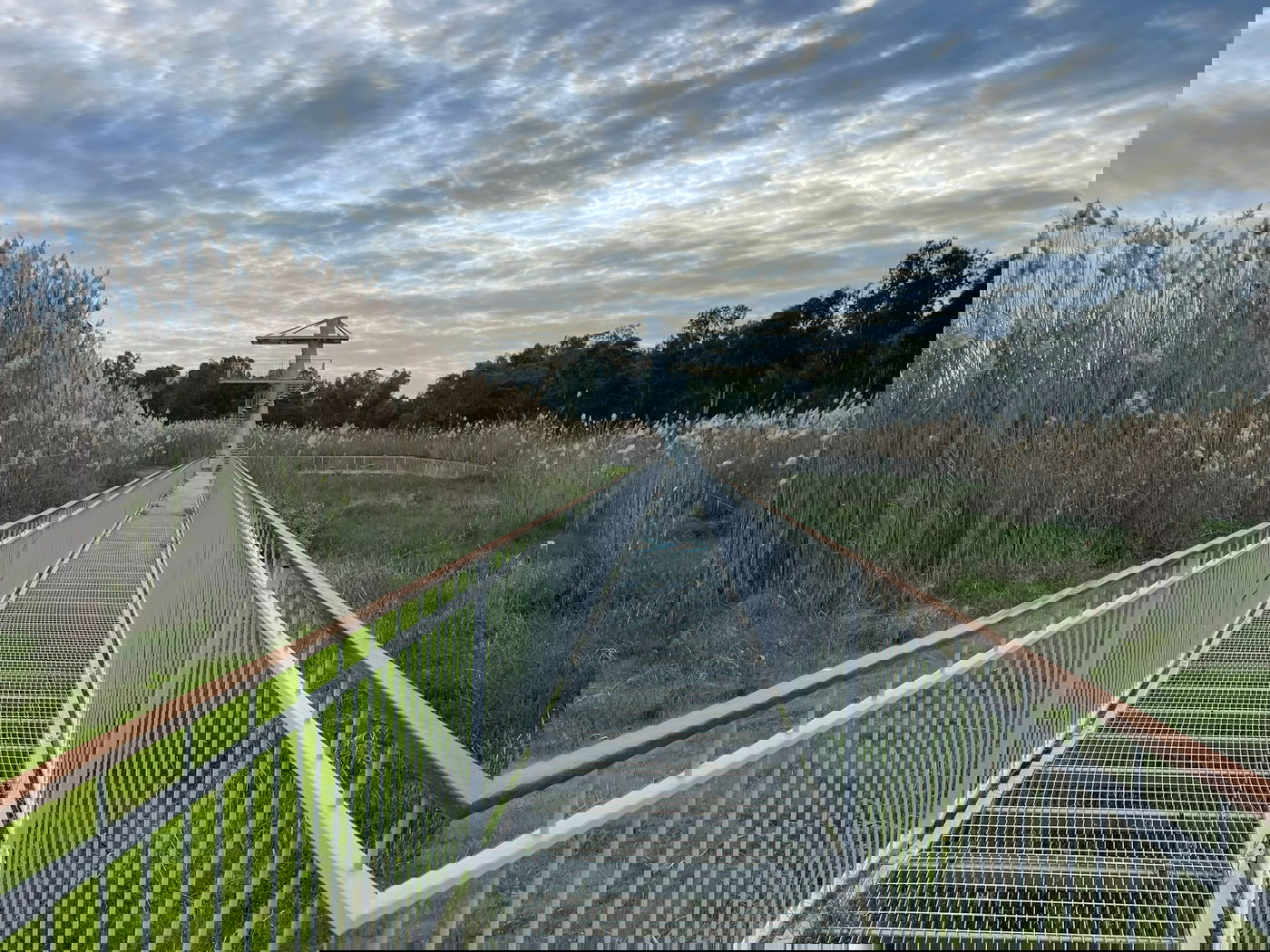 הגשר, בעינות גבתון