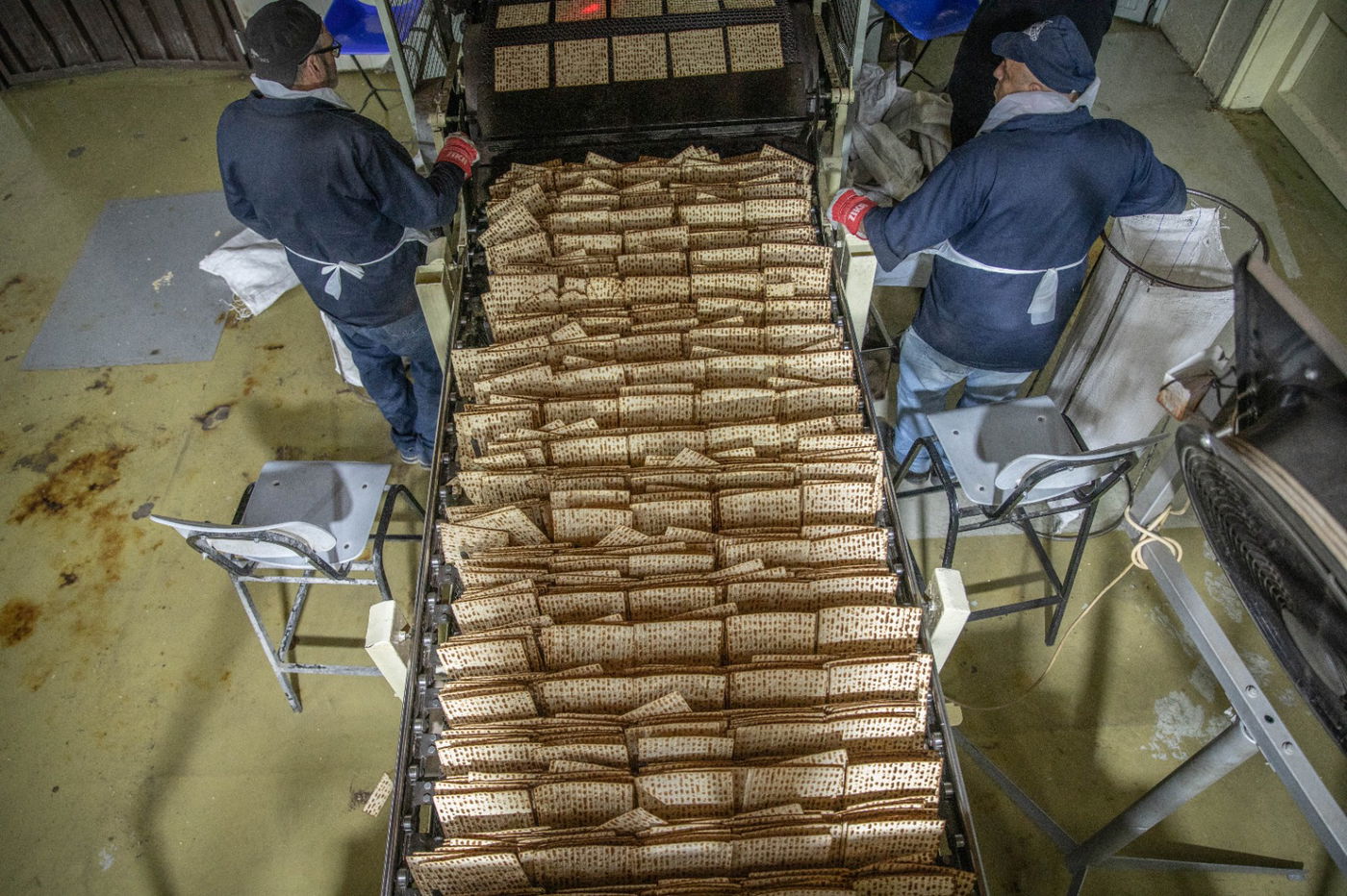 שלב אחר שלב: צלם 'כיכר' תיעד את שלבי הכנת מצות מכונה